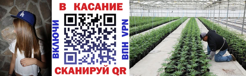 Купить наркотик аптеки Пошехонье Марихуана КОКАИН АМФ Галлюциногенные грибы Меф Гашиш APVP