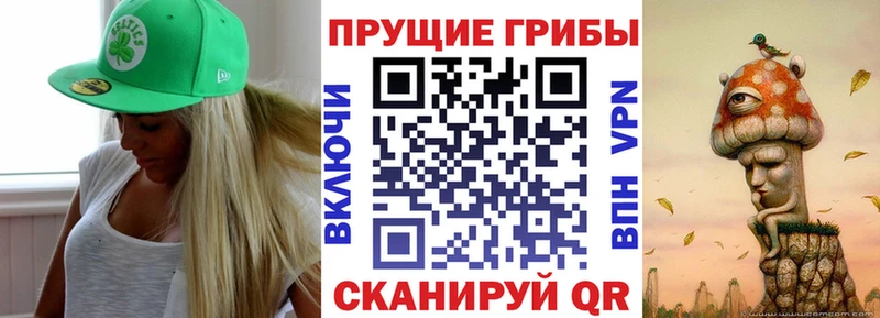 Псилоцибиновые грибы Magic Shrooms  нарко площадка Telegram  Пошехонье  где продают наркотики 